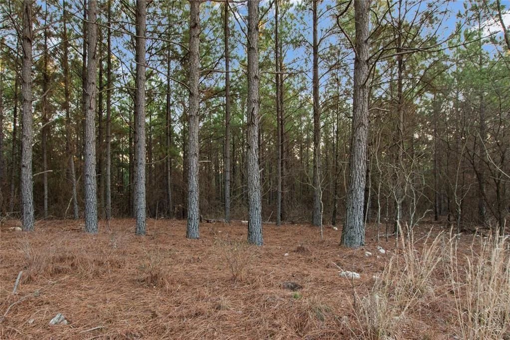 Photo of 456 Pine Hills Lot 129 Track 1 Road