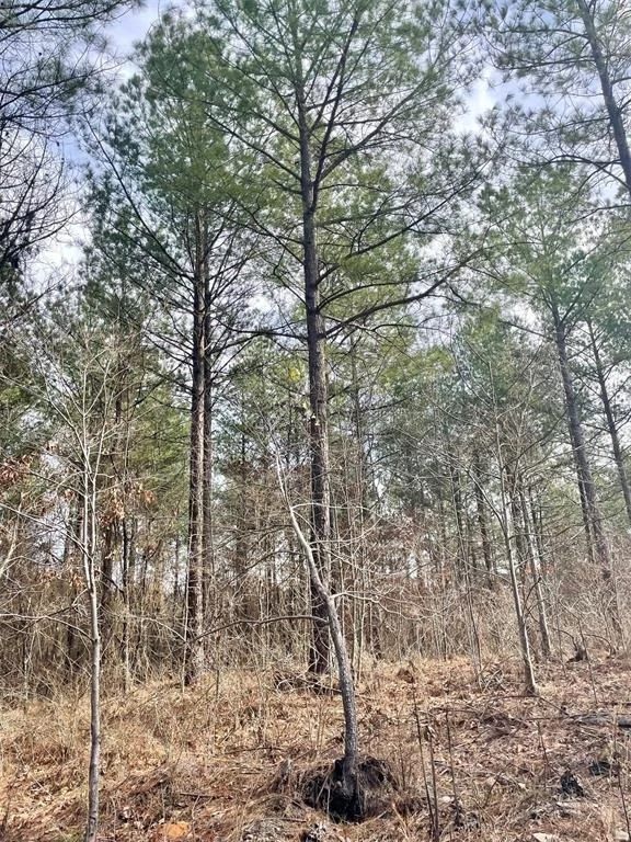 Photo of 754 Timber Creek Trails South XI