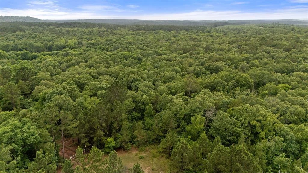 Photo of 219 Lost Hazel Trail