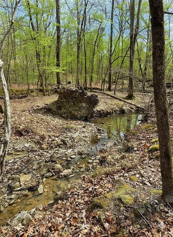 Photo of 770 Timber Creek Trails South XI