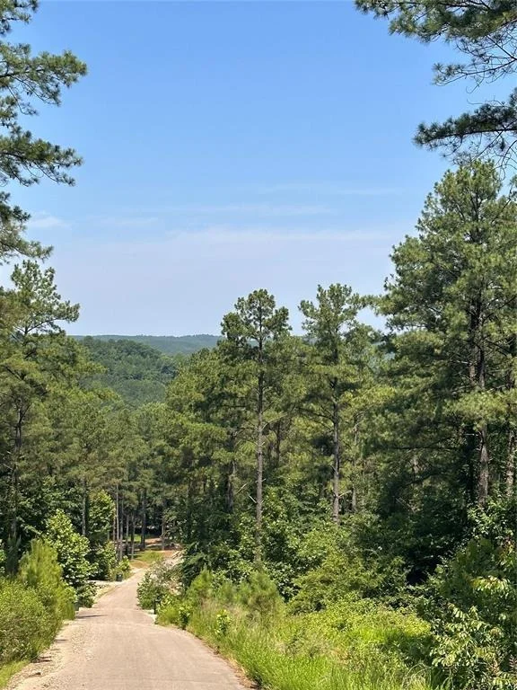 Photo of 85 Green Apple Trail