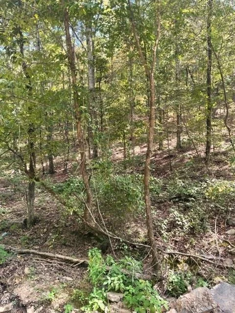 Photo of 158 WESTERN MAPLE Trail