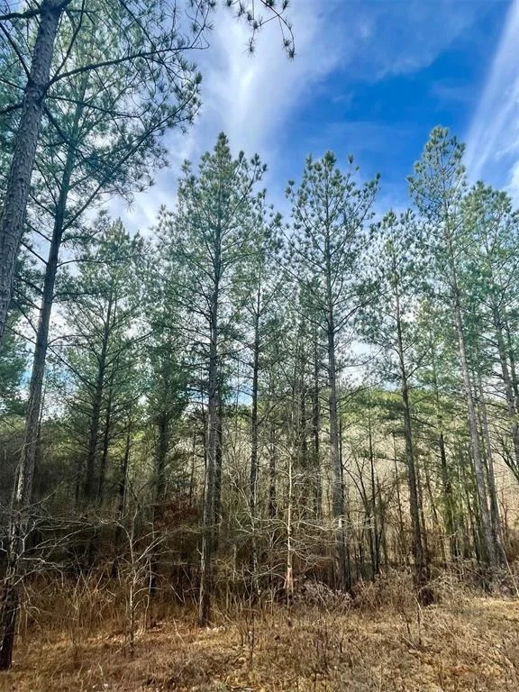 Photo of 707 Timber Creek Trails South XI
