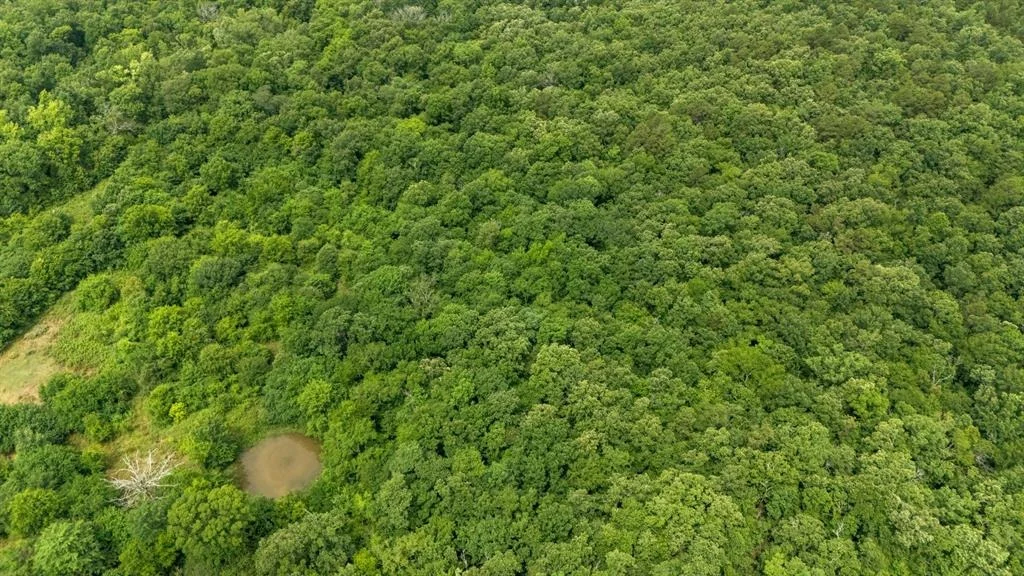Photo of 219 Lost Hazel Trail