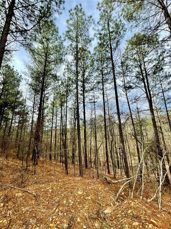 Photo of 737 Timber Creek Trails South XI
