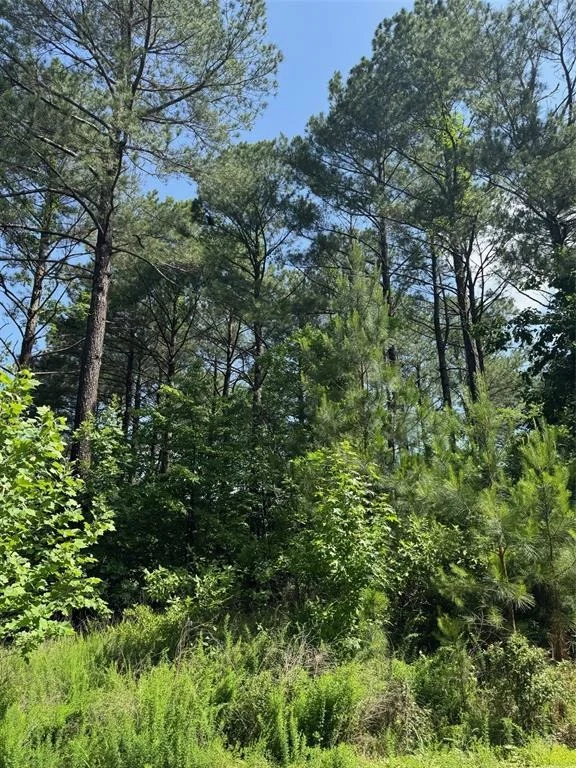 Photo of 87 Blue Maple Trail