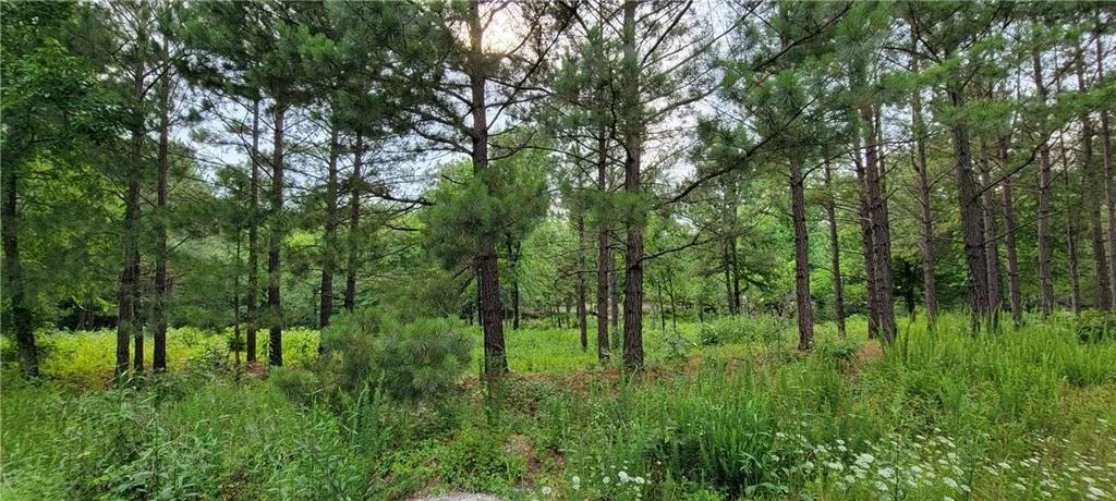 Photo of 74 Creek Side Trail
