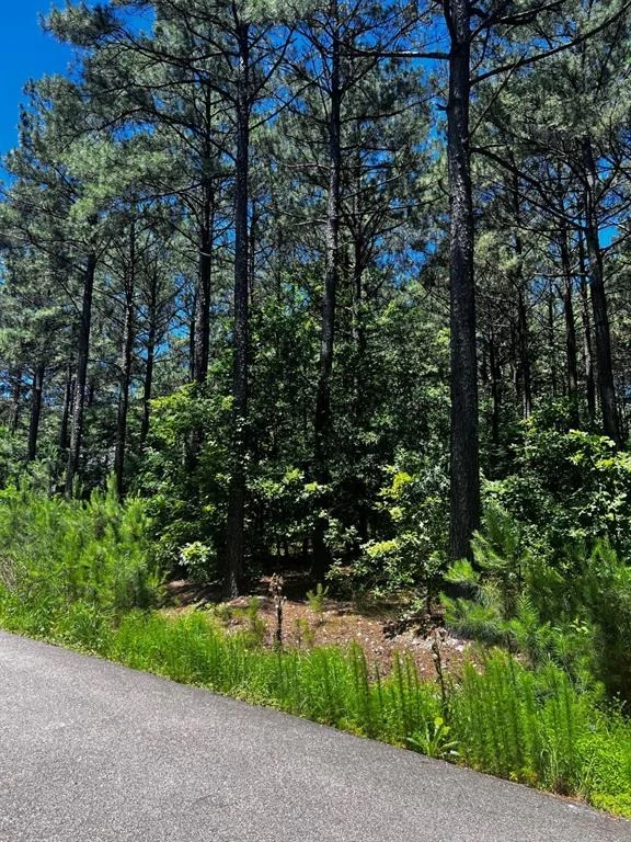 Photo of 83 Pleasant Cypress Trail