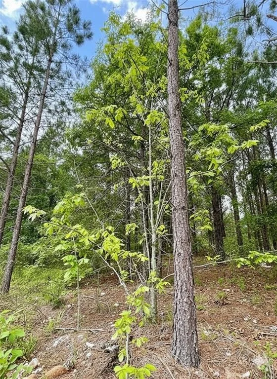 Photo of 671 Timber Creek Trails South XI