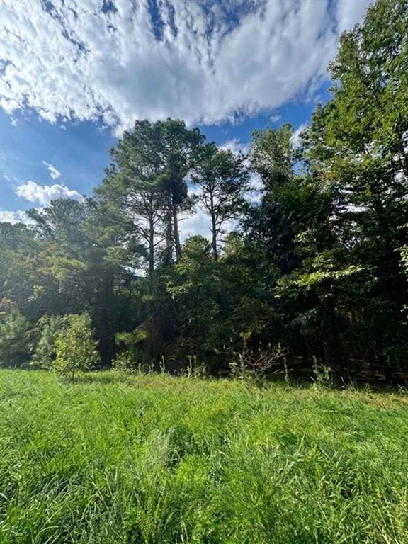 Photo of 1238 Pine Hills Road