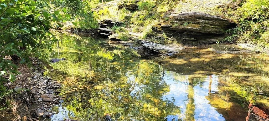 Photo of 28 Creek Side Trail