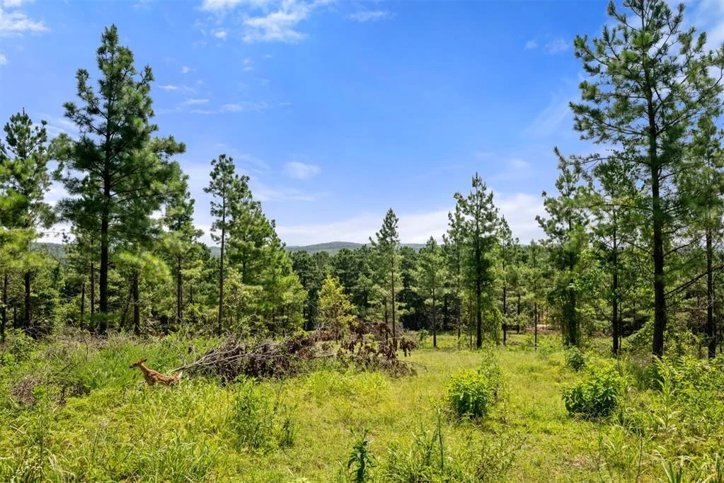 Photo of 1506 Paradise Valley Road