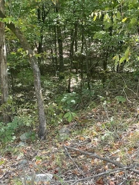 Photo of 158 WESTERN MAPLE Trail