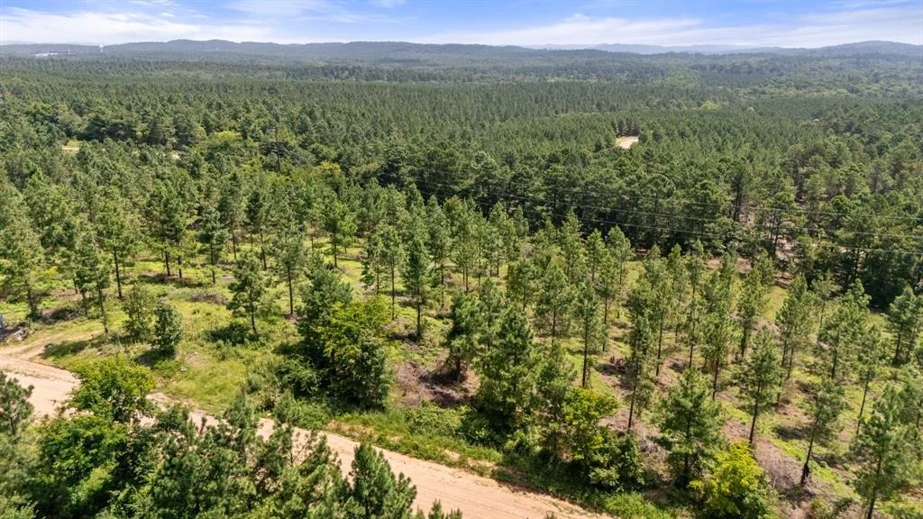 Photo of 1506 Paradise Valley Road
