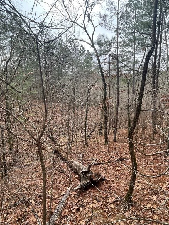 Photo of 736 Timber Creek Trails South XI