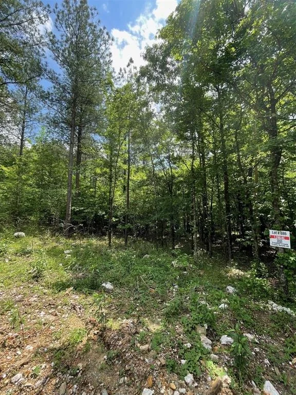 Photo of 686 Timber Creek Trails South XI