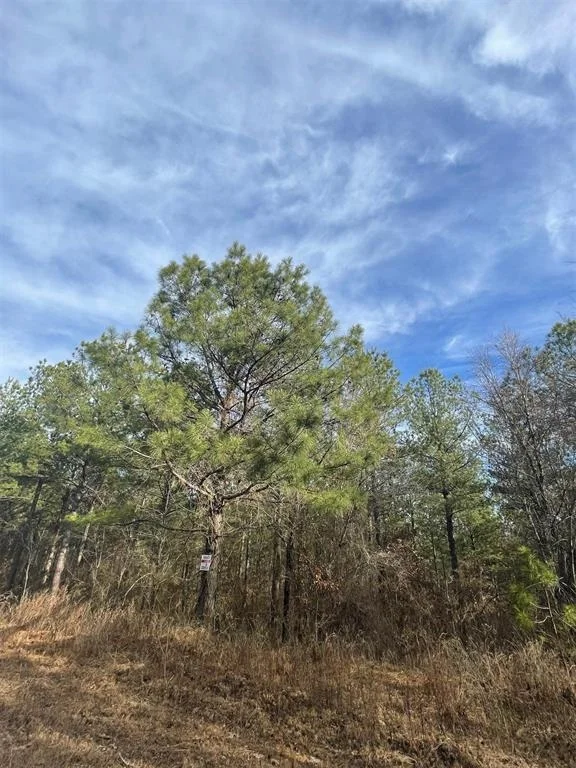 Photo of 732 Timber Creek Trails South XI