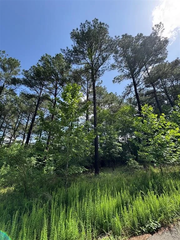 Photo of 87 Blue Maple Trail