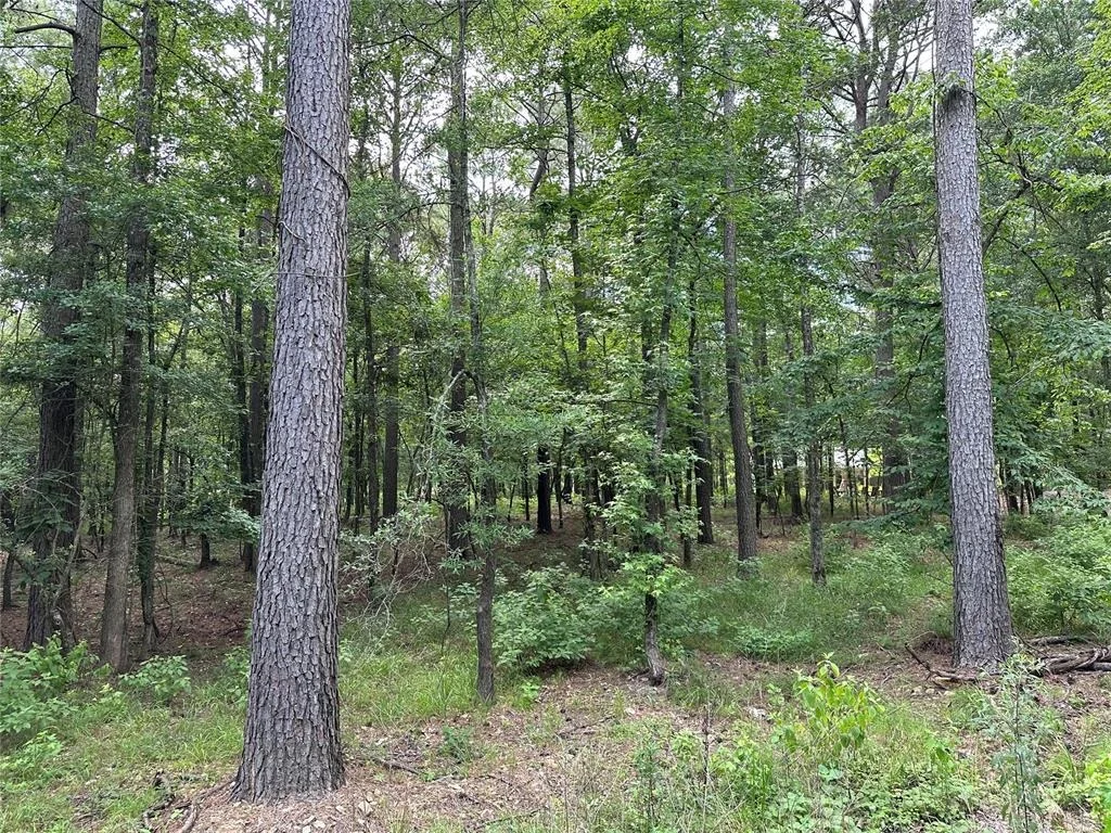 Photo of 46 Lazy River Lane