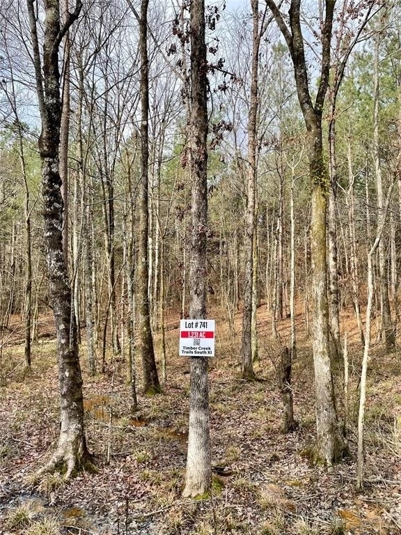 Photo of 741 Timber Creek Trails South XI