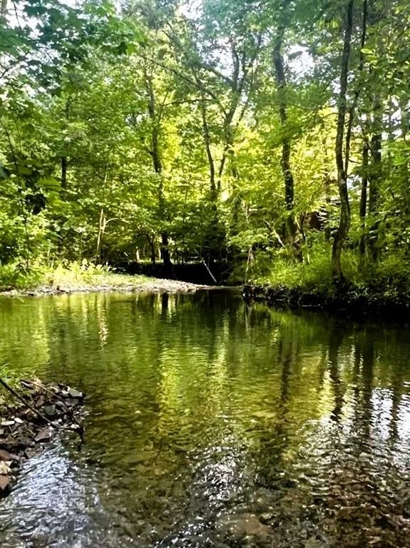 Photo of 62 Fork Creek Trail