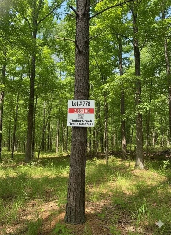 Photo of 778 Timber Creek Trail South XI