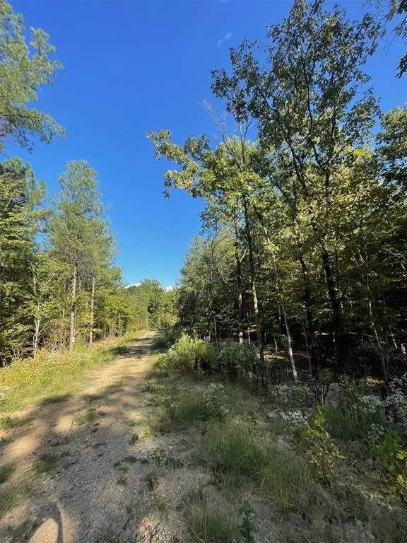 Photo of 767 Timber Creek Trails South XI