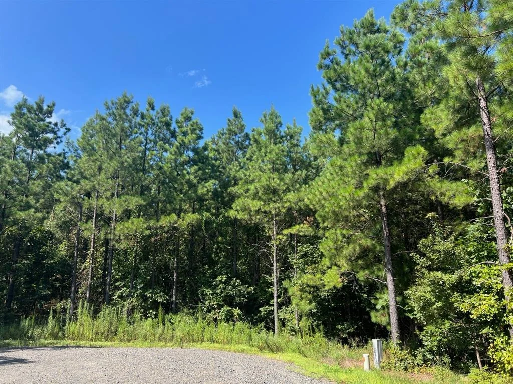 Photo of 53 Weathered Timber Trail