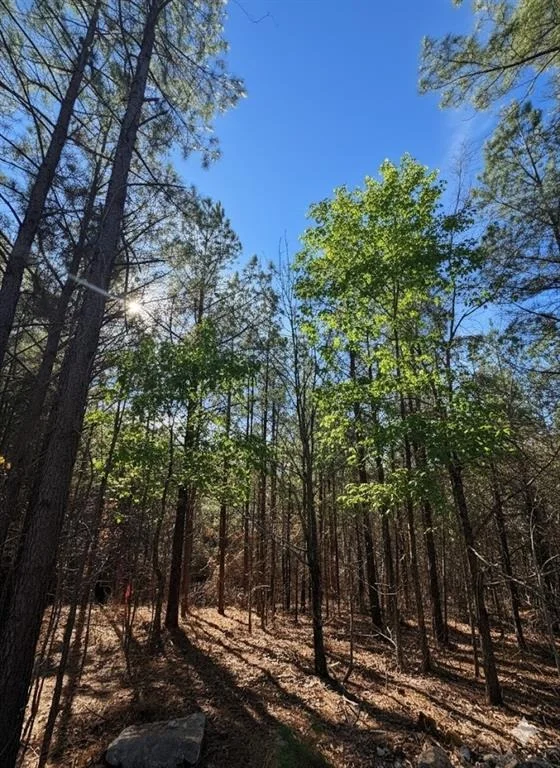 Photo of 59 Overlook Hill Trail Trail