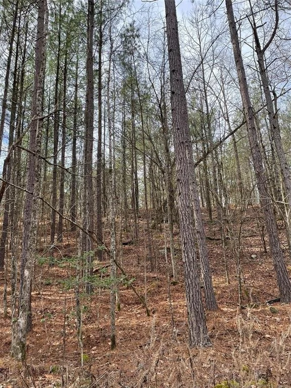 Photo of 769 Timber Creek Trails South XI