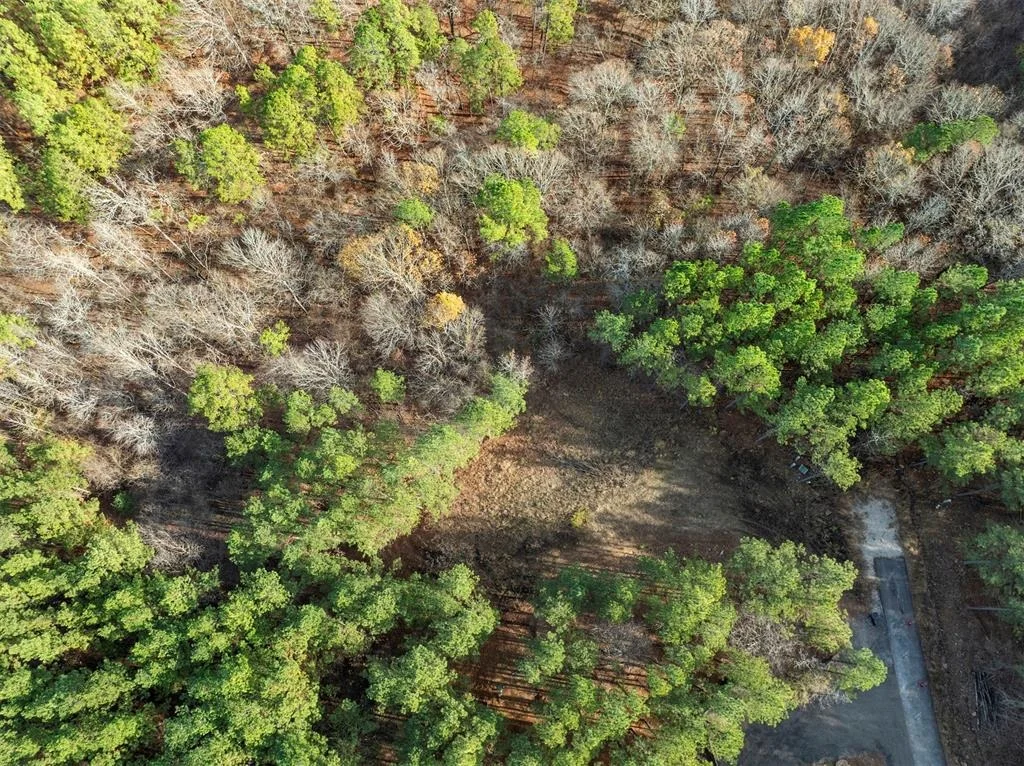 Photo of Unit LOT504 at 164 Timber Holler Trail
