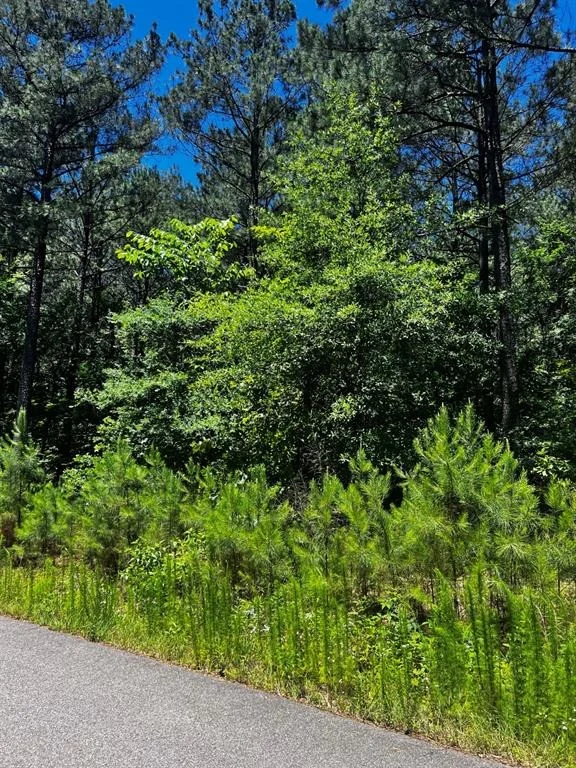 Photo of 83 Pleasant Cypress Trail