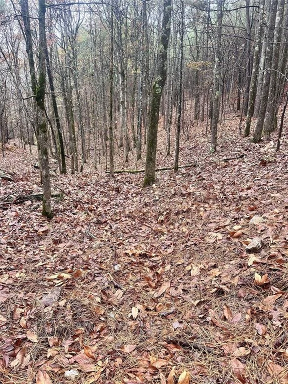 Photo of 01235 Sugarberry Trail