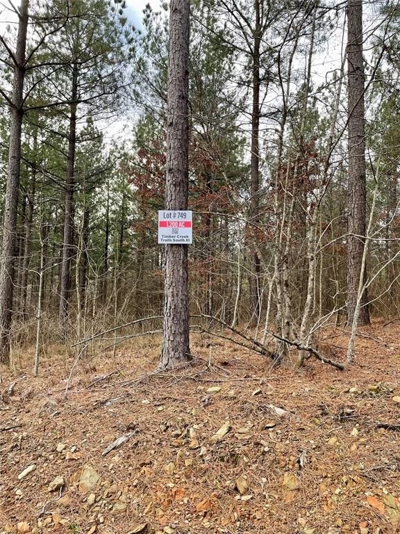 Photo of 749 Timber Creek Trails South XI