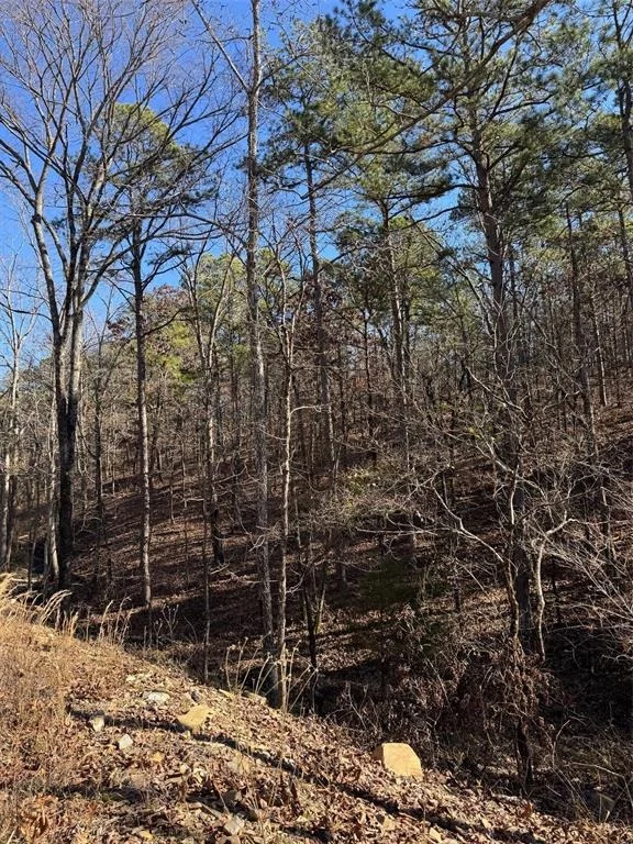 Photo of 132 Western CEDAR Trail