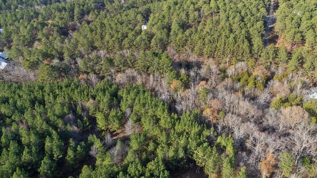 Photo of 315 Marked Pine Lane