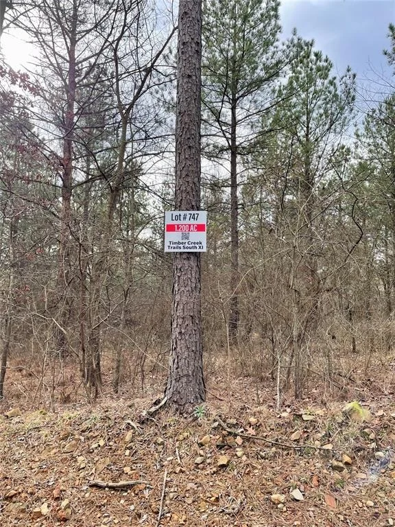 Photo of 747 Timber Creek Trails South XI