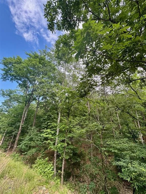 Photo of 132 Western CEDAR Trail