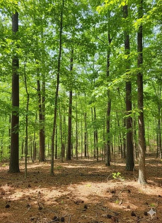 Photo of 778 Timber Creek Trail South XI