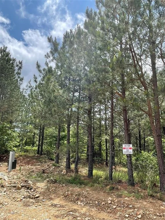 Photo of 691 Timber Creek Trails South XI