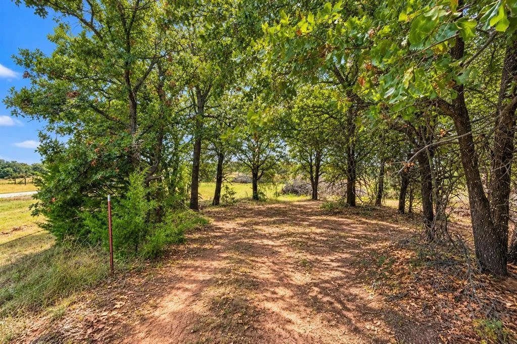 Photo of 15000 Hogback Road