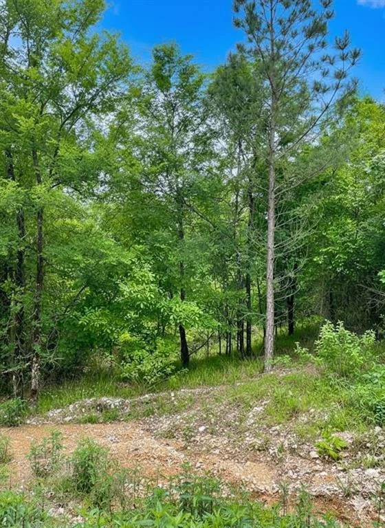 Photo of 662 Timber Creek Trails South XI