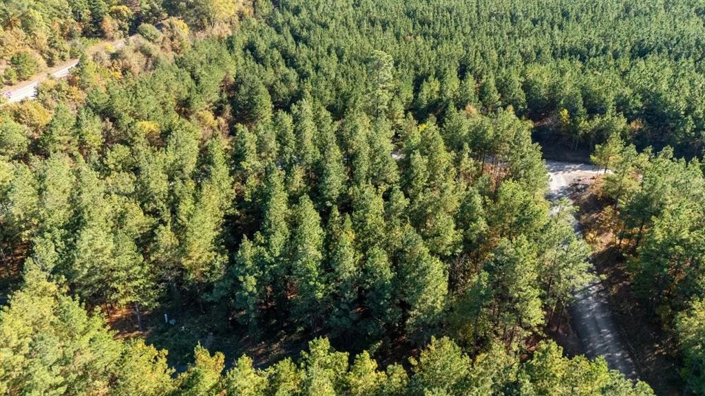 Photo of 24 Cedar Tree Trail