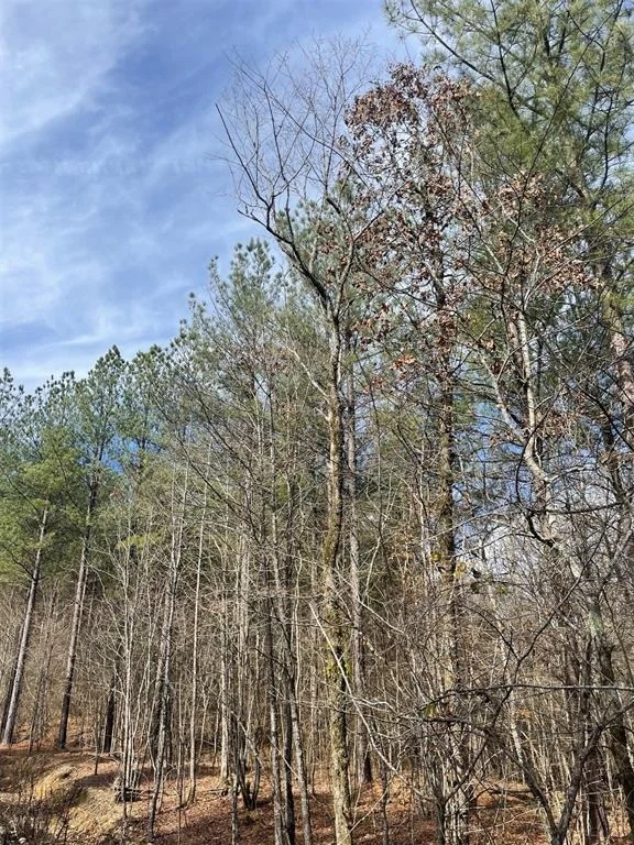 Photo of 773 Timber Creek Trails South XI