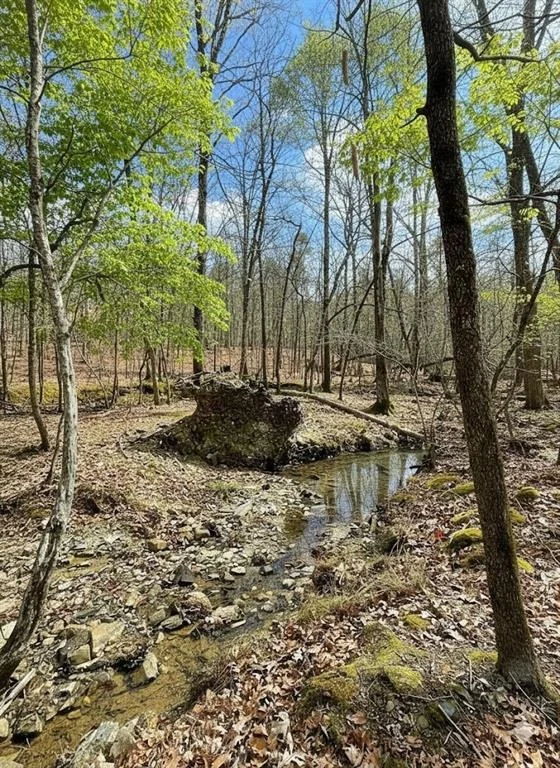 Photo of 771 Timber Creek Trails South XI