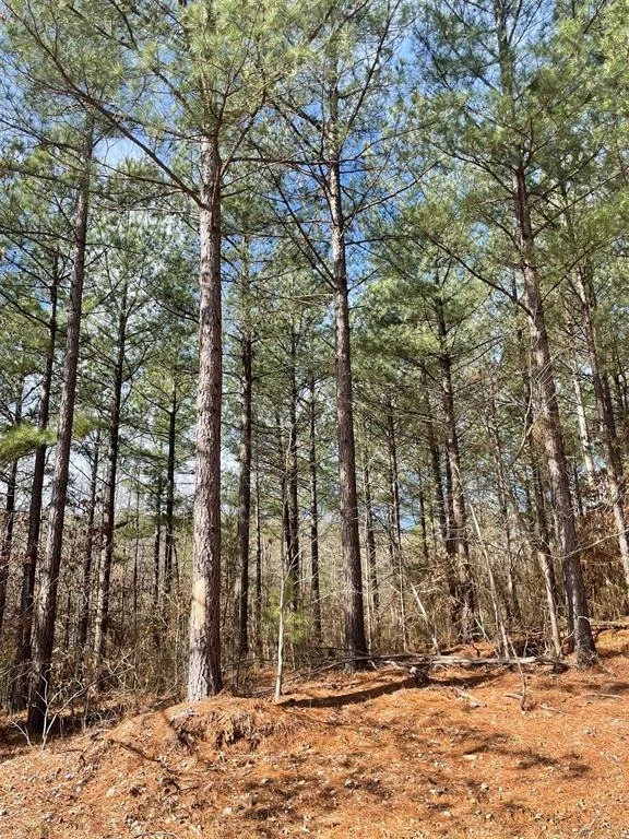 Photo of 764 Timber Creek Trails South XI
