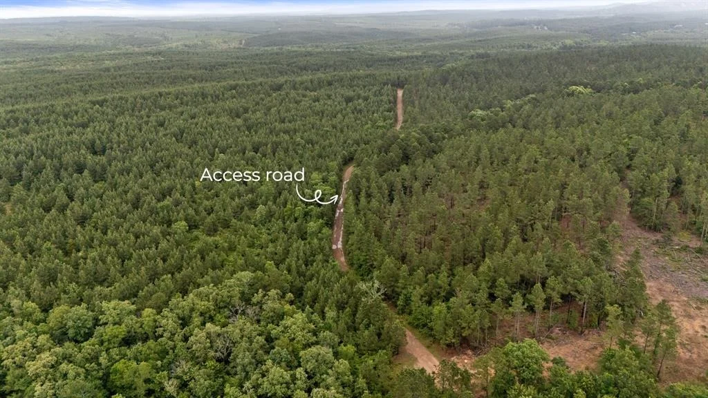 Photo of 219 Lost Hazel Trail