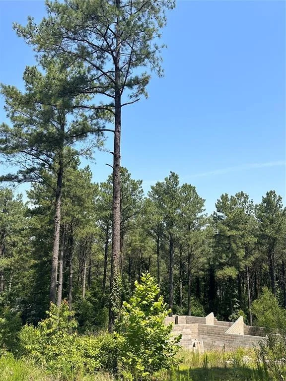 Photo of 85 Green Apple Trail
