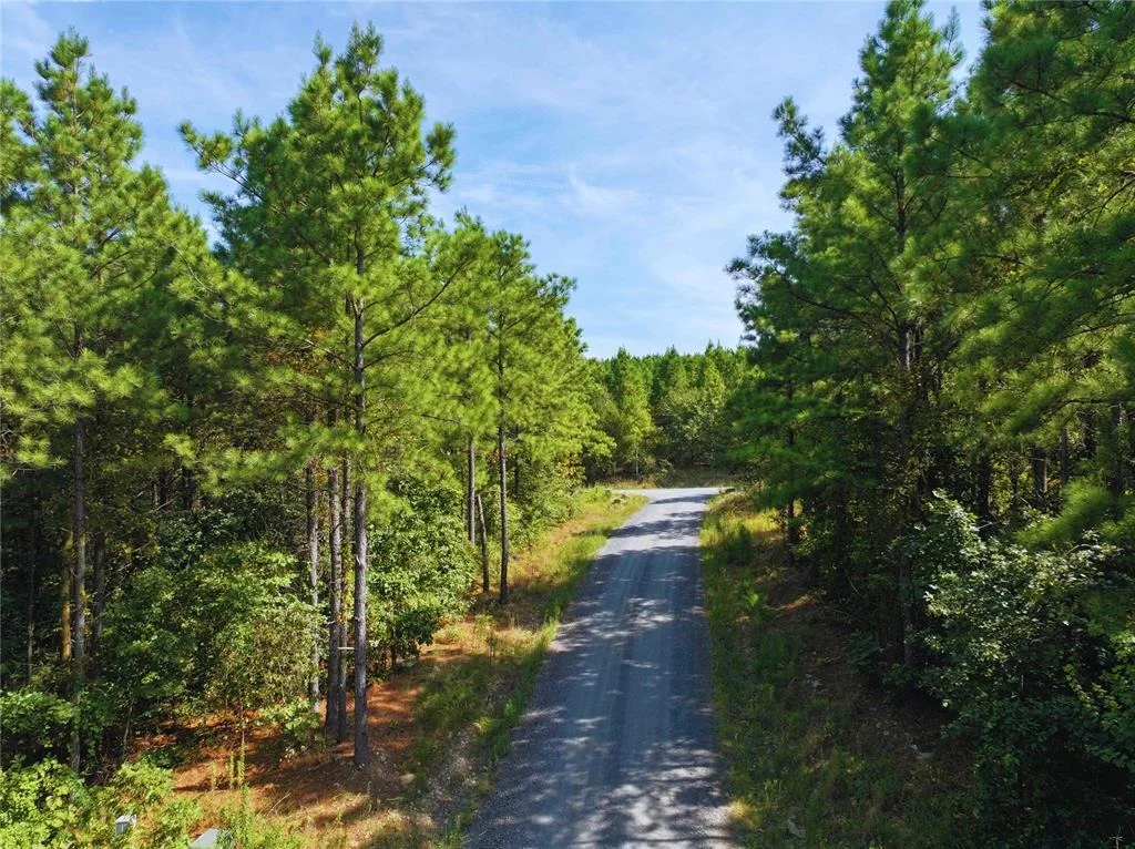 Photo of 32 Wayward Pine Trl Trail