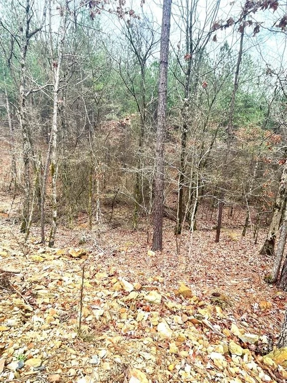Photo of 708 Timber Creek Trails South XI